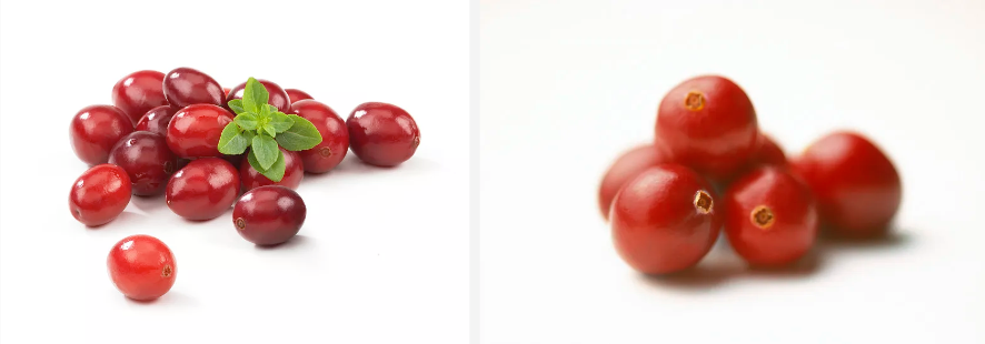 Cranberry powder Cranberry powder