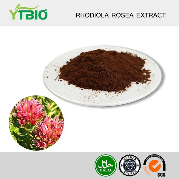 Pudră de extract de Rhodiola Rosea