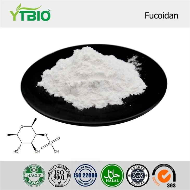 Fucoidan Powder