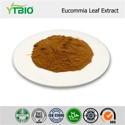 Extract de frunze de Eucommia